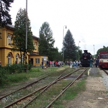 Zvláštní vlak a pravidelný vlak na nádraží Osek – město 
