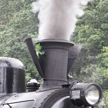 Parní lokomotiva si za komínem přivezla zelenou větvičku 